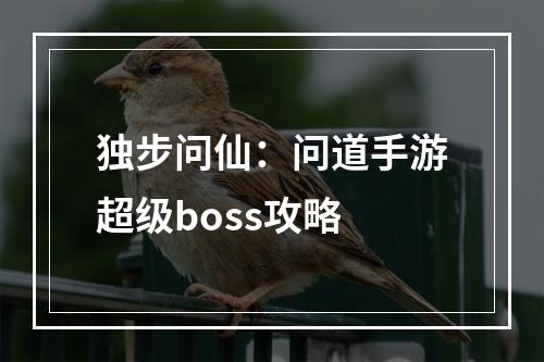 独步问仙：问道手游超级boss攻略