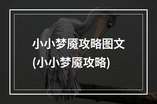 小小梦魇攻略图文(小小梦魇攻略)