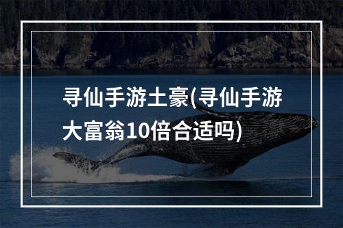 寻仙手游土豪(寻仙手游大富翁10倍合适吗)