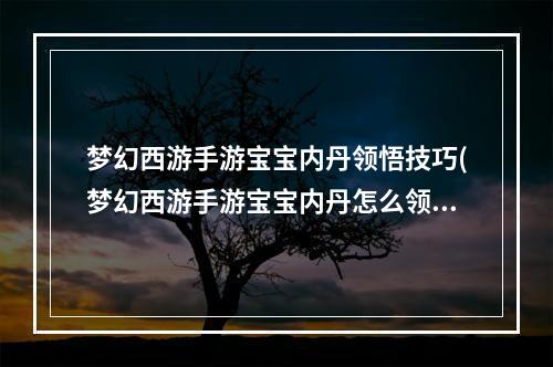 梦幻西游手游宝宝内丹领悟技巧(梦幻西游手游宝宝内丹怎么领悟)