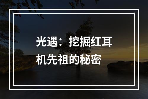 光遇：挖掘红耳机先祖的秘密