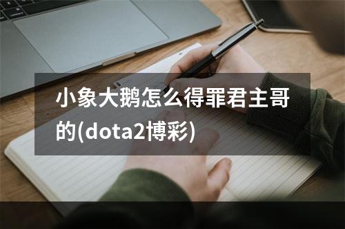 小象大鹅怎么得罪君主哥的(dota2博彩)