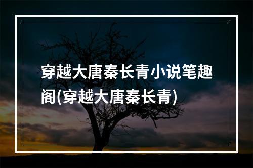 穿越大唐秦长青小说笔趣阁(穿越大唐秦长青)