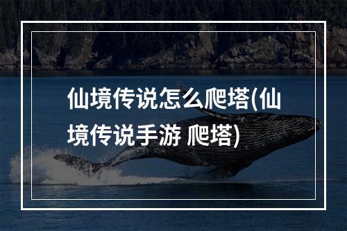 仙境传说怎么爬塔(仙境传说手游 爬塔)