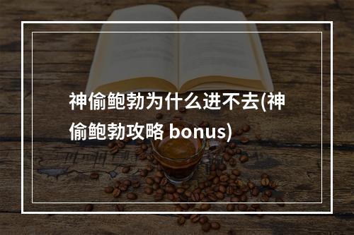 神偷鲍勃为什么进不去(神偷鲍勃攻略 bonus)