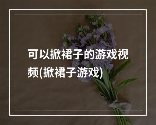 可以掀裙子的游戏视频(掀裙子游戏)