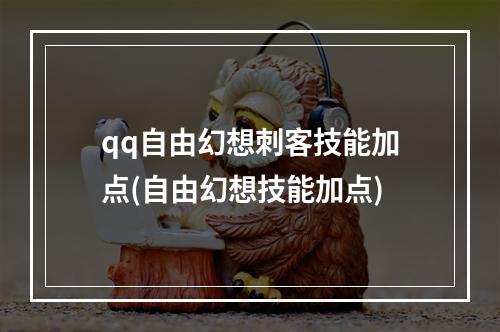 qq自由幻想刺客技能加点(自由幻想技能加点)