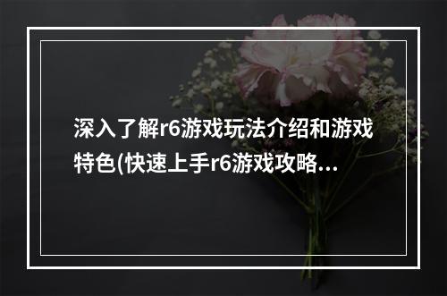 深入了解r6游戏玩法介绍和游戏特色(快速上手r6游戏攻略分享)