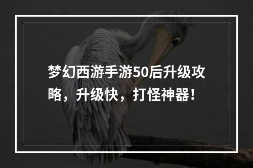 梦幻西游手游50后升级攻略，升级快，打怪神器！