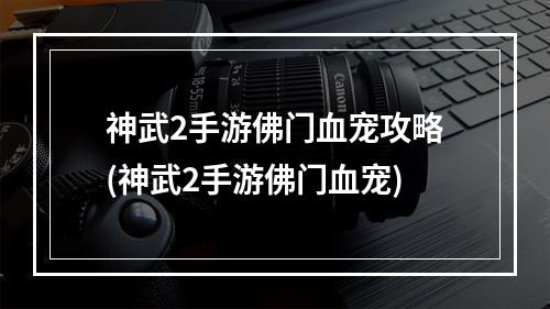 神武2手游佛门血宠攻略(神武2手游佛门血宠)