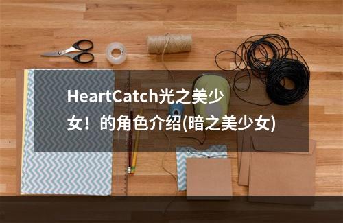 HeartCatch光之美少女！的角色介绍(暗之美少女)