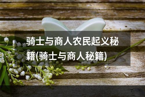 骑士与商人农民起义秘籍(骑士与商人秘籍)