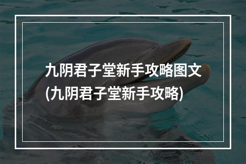 九阴君子堂新手攻略图文(九阴君子堂新手攻略)