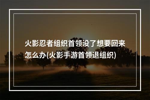 火影忍者组织首领没了想要回来怎么办(火影手游首领退组织)