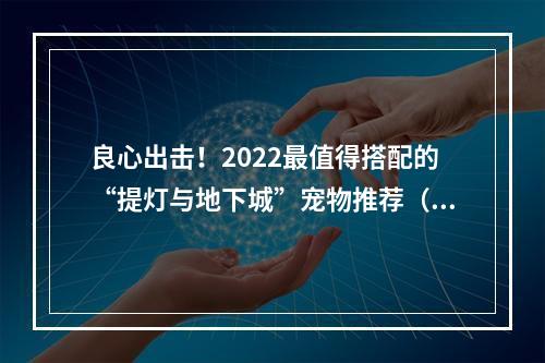 良心出击！2022最值得搭配的“提灯与地下城”宠物推荐（珍惜生命，远离孤单）