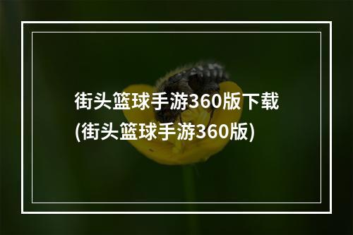 街头篮球手游360版下载(街头篮球手游360版)