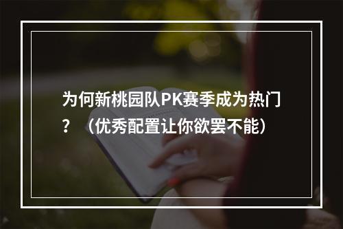 为何新桃园队PK赛季成为热门？（优秀配置让你欲罢不能）