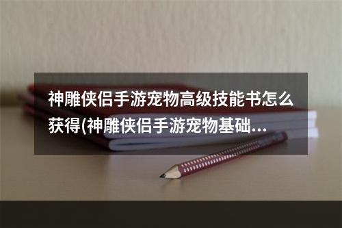 神雕侠侣手游宠物高级技能书怎么获得(神雕侠侣手游宠物基础属性图鉴)