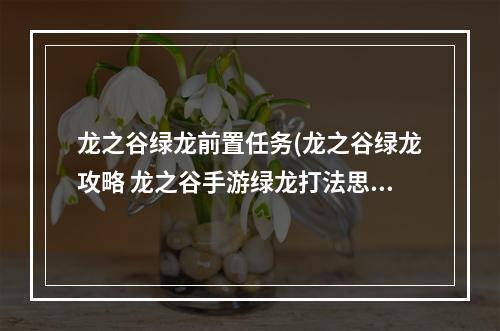 龙之谷绿龙前置任务(龙之谷绿龙攻略 龙之谷手游绿龙打法思路速刷攻略)