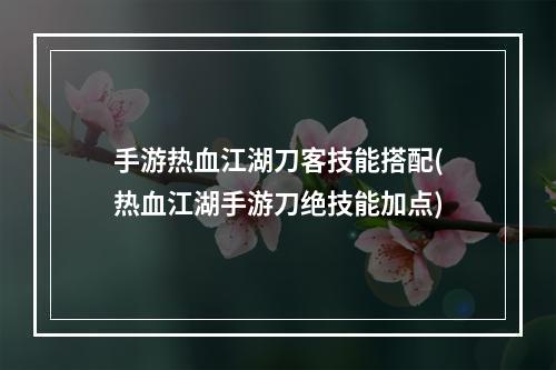 手游热血江湖刀客技能搭配(热血江湖手游刀绝技能加点)