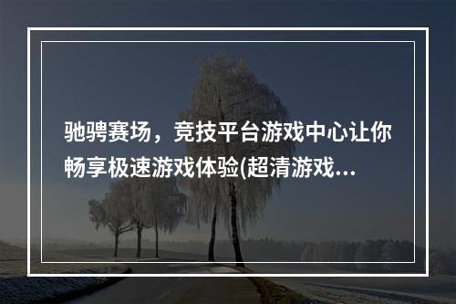 驰骋赛场，竞技平台游戏中心让你畅享极速游戏体验(超清游戏画质，驾驭多种车辆)(轻松畅玩，竞技游戏平台下载开启疯狂竞速之旅(离线抢分，实时对决))