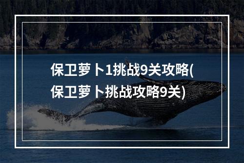 保卫萝卜1挑战9关攻略(保卫萝卜挑战攻略9关)