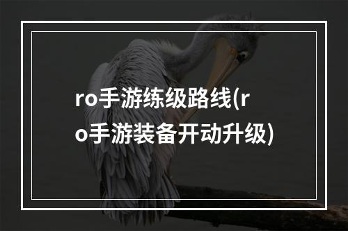 ro手游练级路线(ro手游装备开动升级)