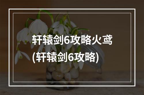 轩辕剑6攻略火鸢(轩辕剑6攻略)