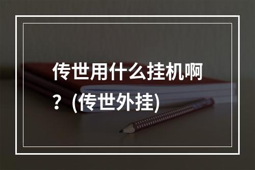 传世用什么挂机啊？(传世外挂)