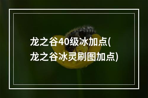 龙之谷40级冰加点(龙之谷冰灵刷图加点)