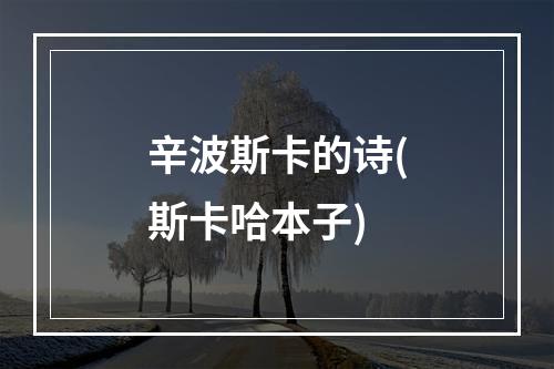 辛波斯卡的诗(斯卡哈本子)