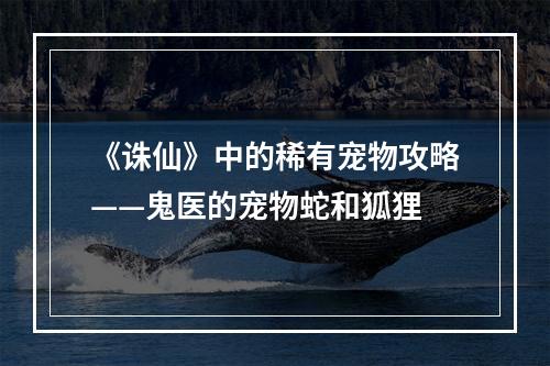 《诛仙》中的稀有宠物攻略——鬼医的宠物蛇和狐狸