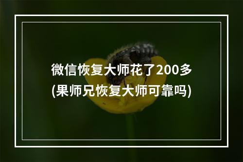 微信恢复大师花了200多(果师兄恢复大师可靠吗)