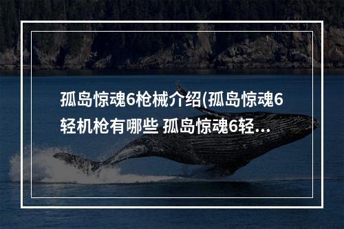 孤岛惊魂6枪械介绍(孤岛惊魂6轻机枪有哪些 孤岛惊魂6轻机枪武器图鉴大全)