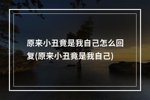 原来小丑竟是我自己怎么回复(原来小丑竟是我自己)