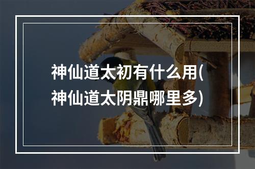 神仙道太初有什么用(神仙道太阴鼎哪里多)