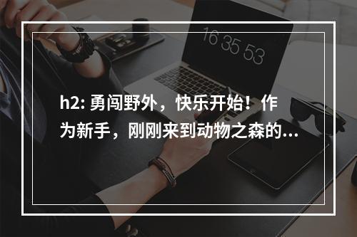 h2: 勇闯野外，快乐开始！作为新手，刚刚来到动物之森的你，首先需要办理居民证，这是你进入动物之森的必要手续。在你得到居民证之后，走出屋子，看到一个小村庄，这里