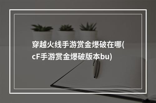 穿越火线手游赏金爆破在哪(cF手游赏金爆破版本bu)