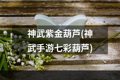 神武紫金葫芦(神武手游七彩葫芦)