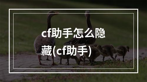 cf助手怎么隐藏(cf助手)