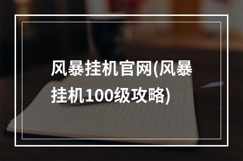 风暴挂机官网(风暴挂机100级攻略)