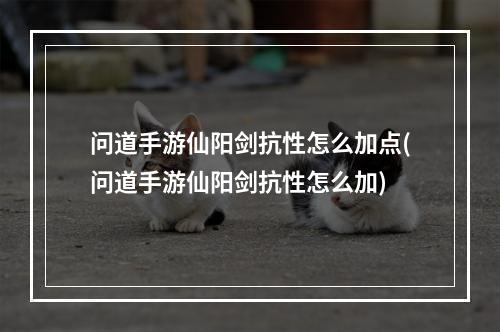 问道手游仙阳剑抗性怎么加点(问道手游仙阳剑抗性怎么加)