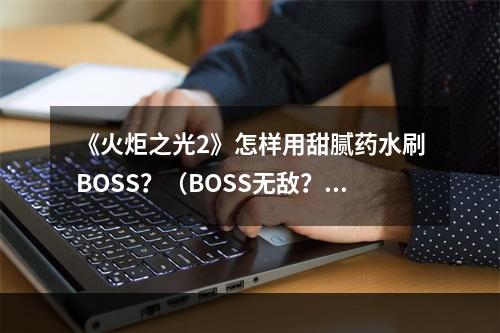 《火炬之光2》怎样用甜腻药水刷BOSS？（BOSS无敌？来试试甜腻药水）