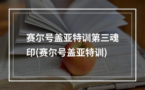 赛尔号盖亚特训第三魂印(赛尔号盖亚特训)