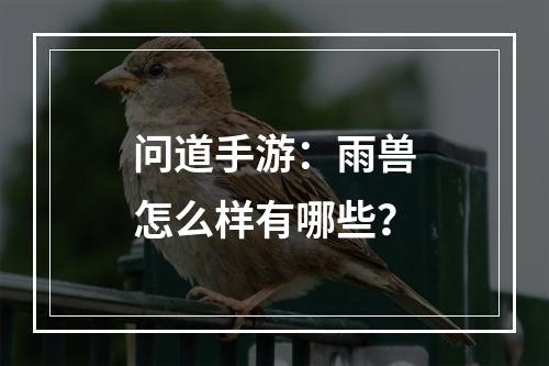 问道手游：雨兽怎么样有哪些？