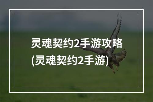 灵魂契约2手游攻略(灵魂契约2手游)