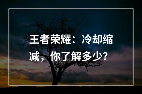 王者荣耀：冷却缩减，你了解多少？