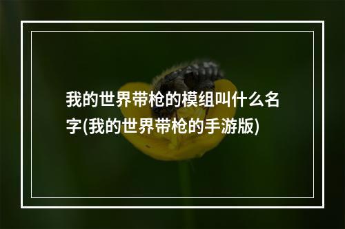 我的世界带枪的模组叫什么名字(我的世界带枪的手游版)