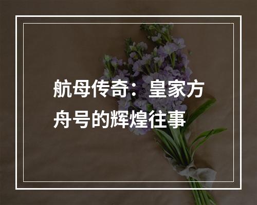 航母传奇：皇家方舟号的辉煌往事