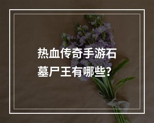 热血传奇手游石墓尸王有哪些？